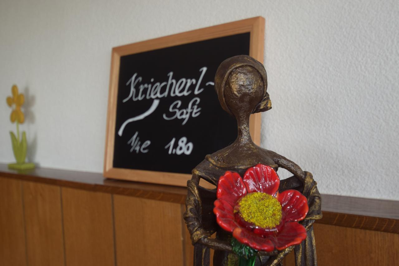 Gasthaus Donaublick Leiben Ngoại thất bức ảnh